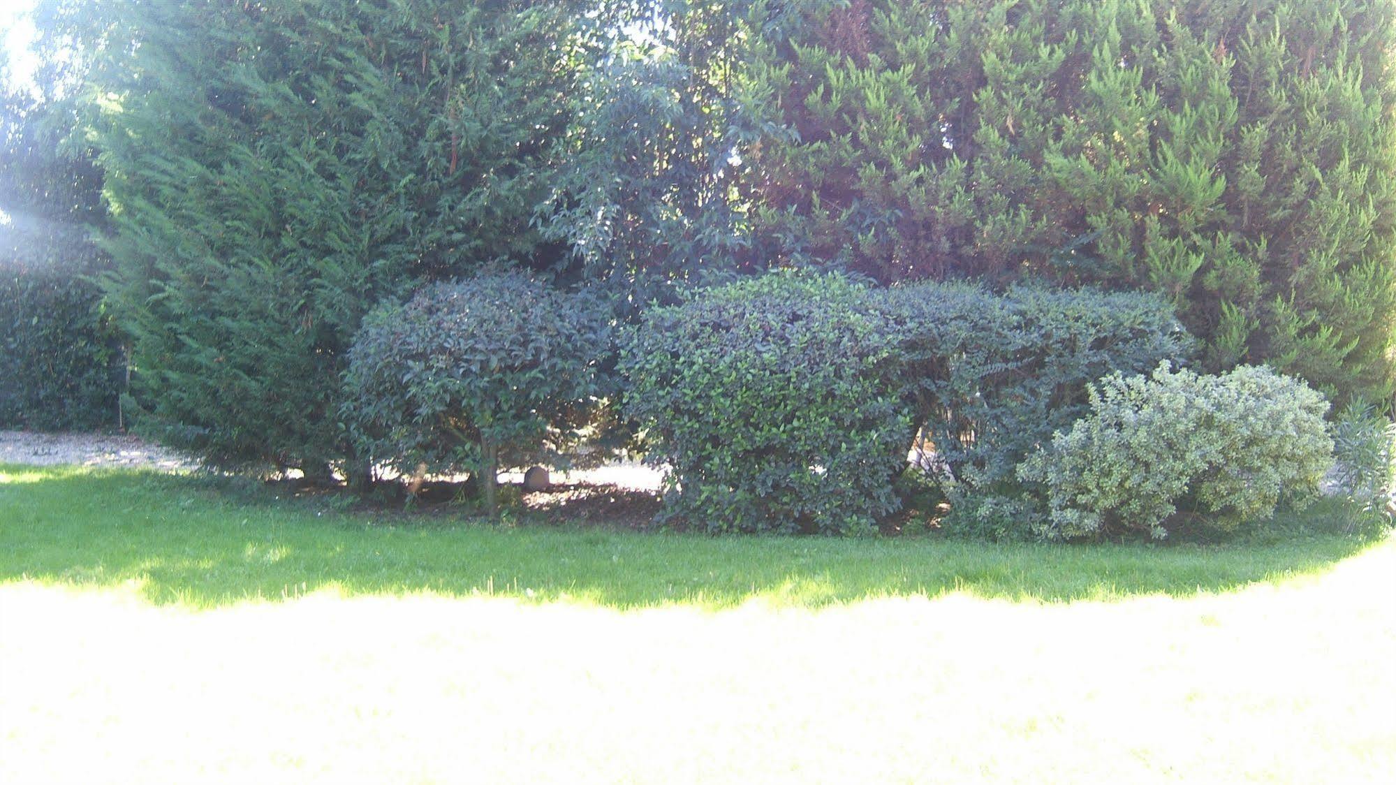 Locanda Canareggio San Biagio di Callalta ภายนอก รูปภาพ